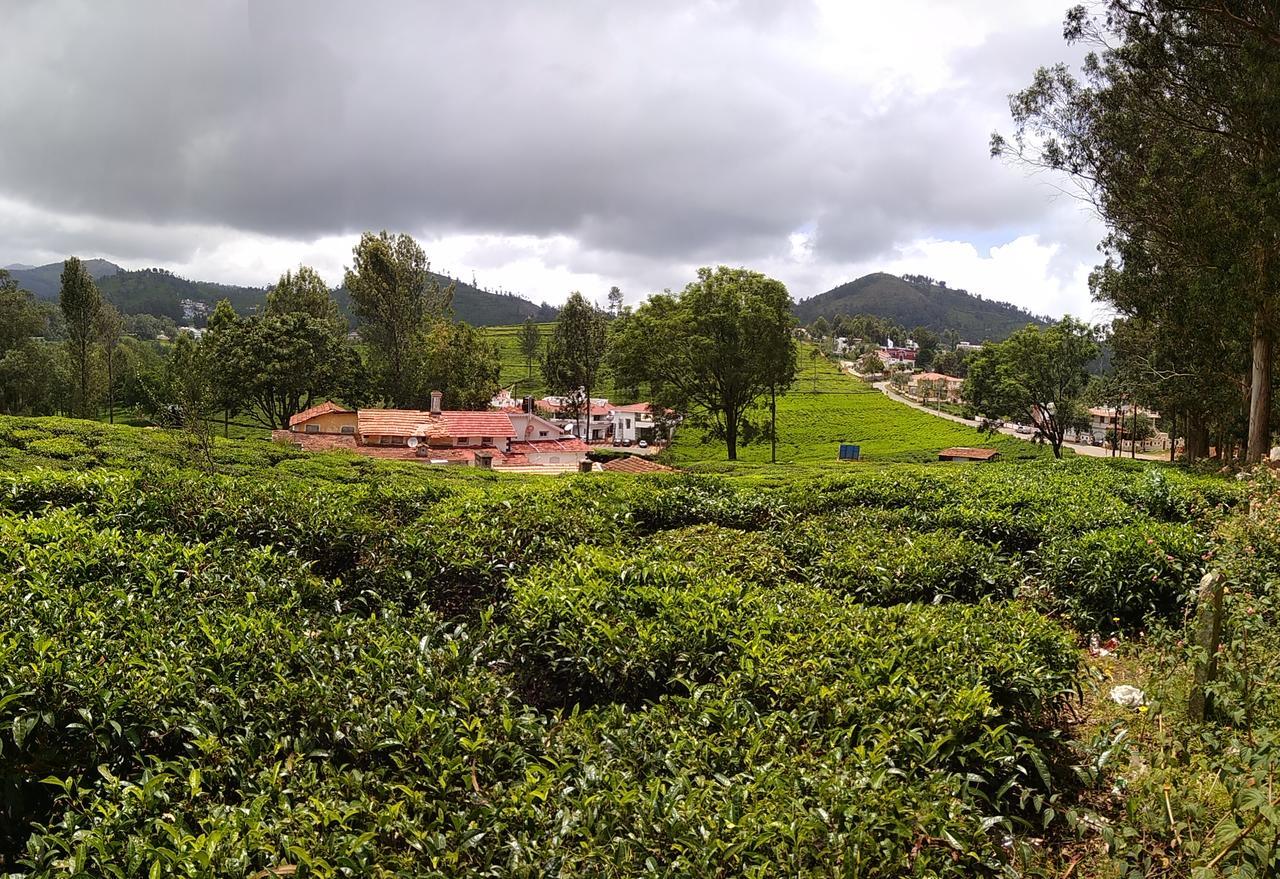 Myspace Holiday Inn Ooty Eksteriør bilde