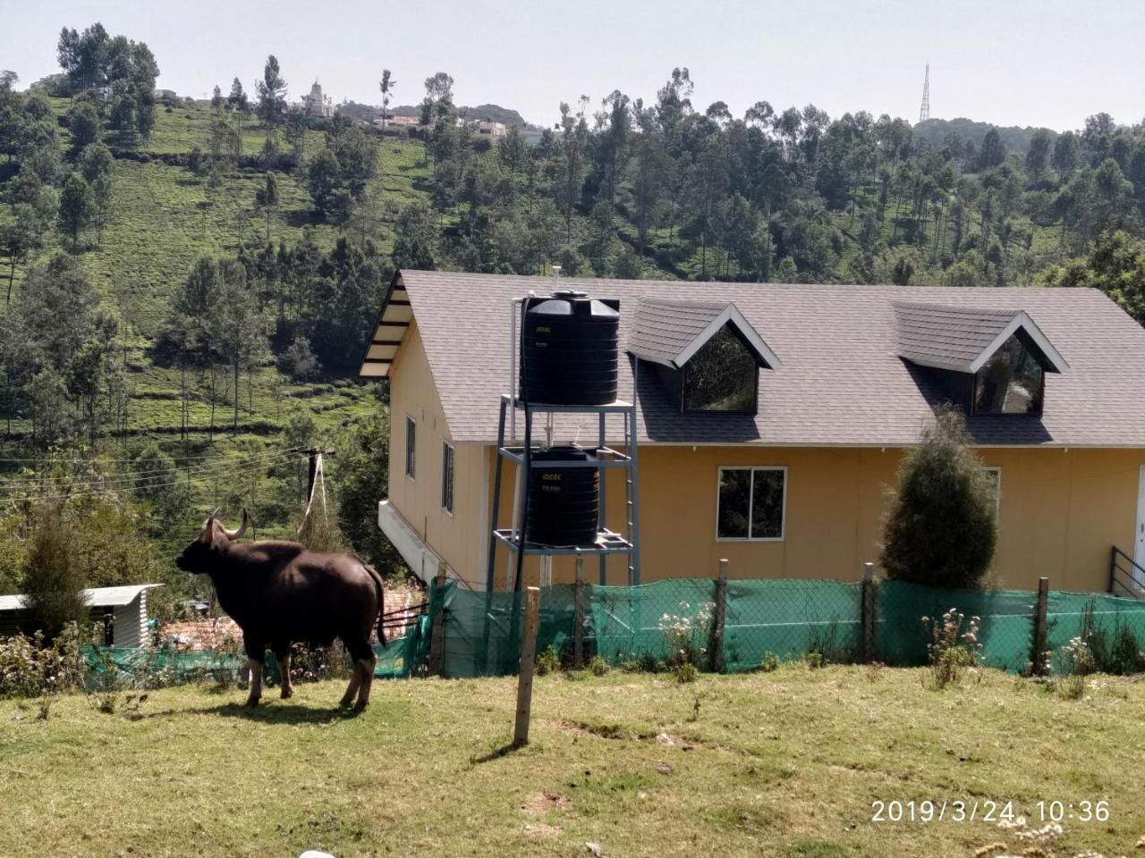 Myspace Holiday Inn Ooty Eksteriør bilde